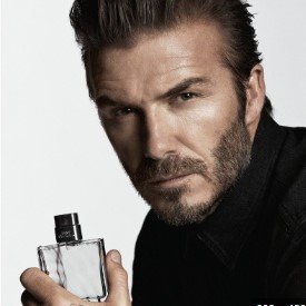 Men Perfume